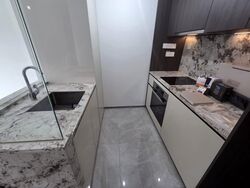 Tembusu Grand (D15), Condominium #526838841